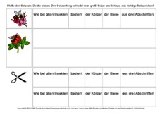 Sätze-umstellen-Honigbiene-2-B.pdf